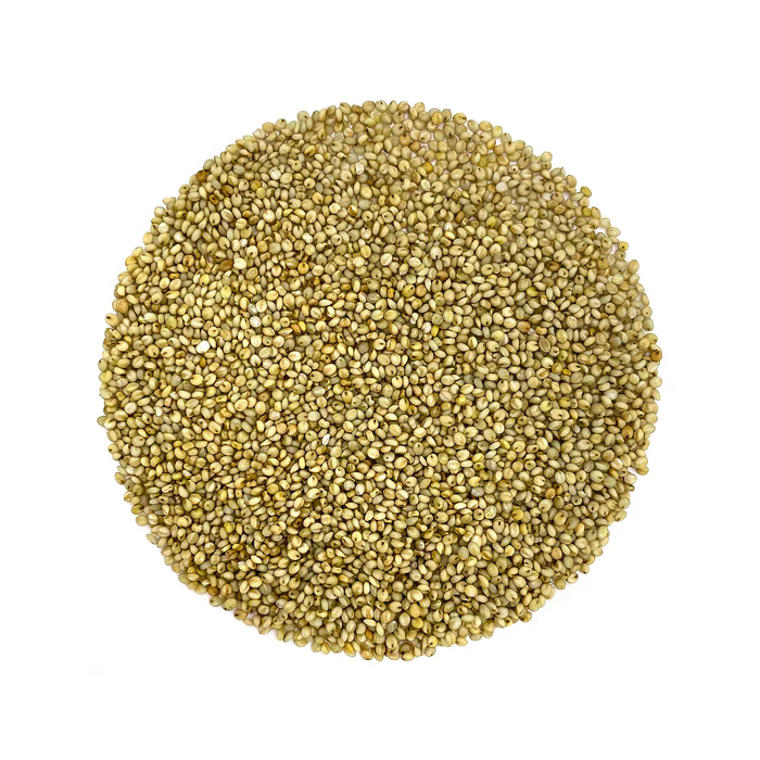 hari kangni millet grain 