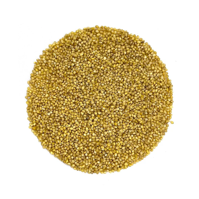 kangni millet grain